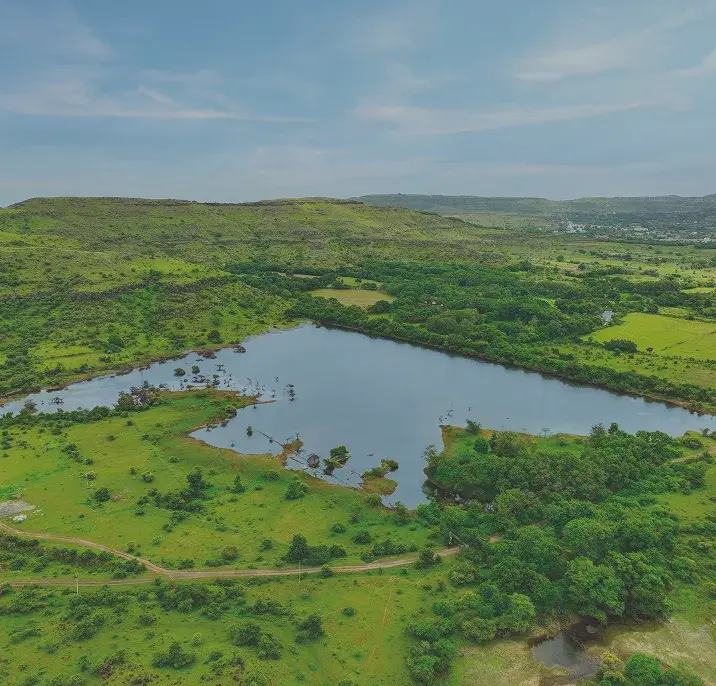 Treetopia Pune Growth Corridor
